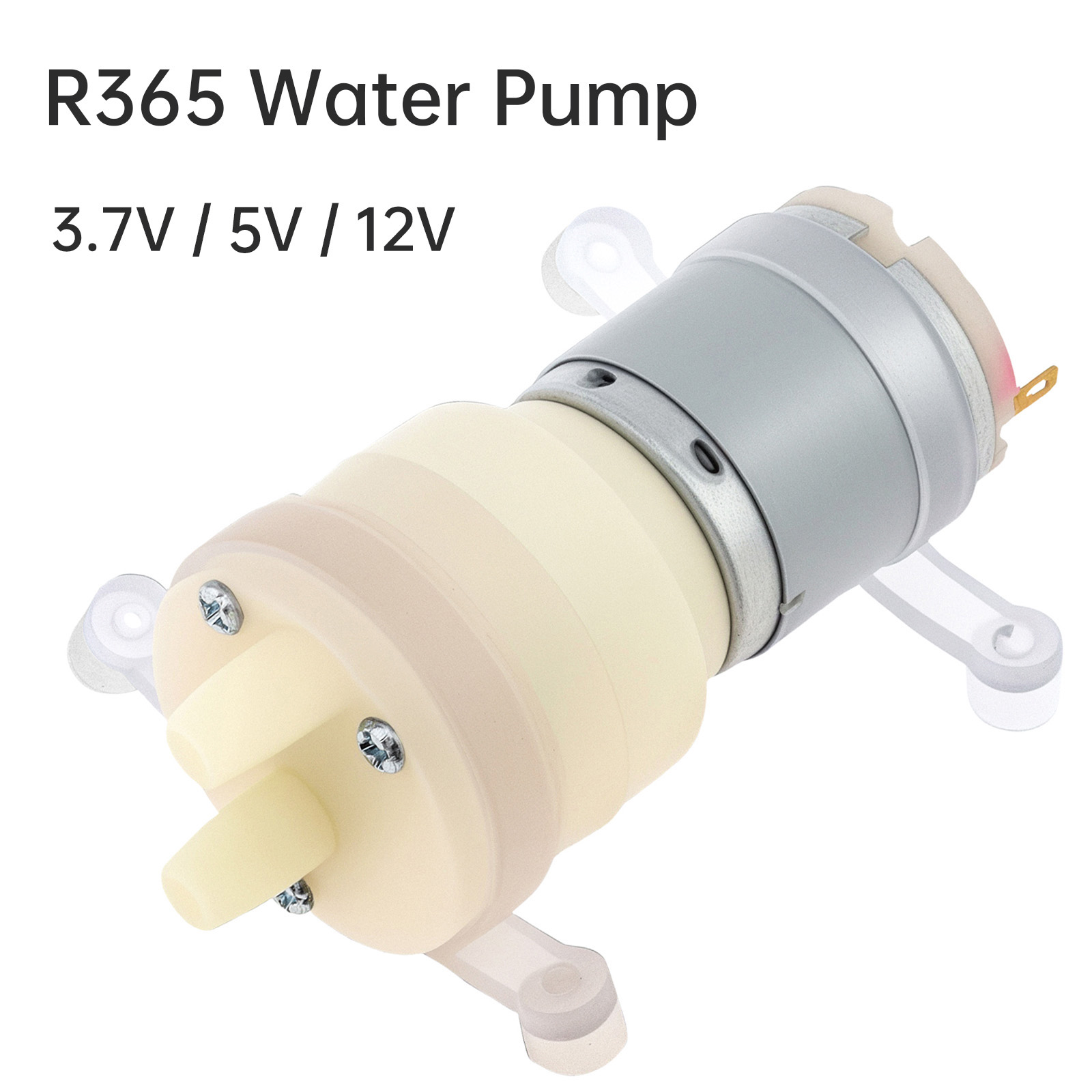 R365 Micro Water Pump Motor DC - Mini Peristaltic Pump 12V 评论和价格