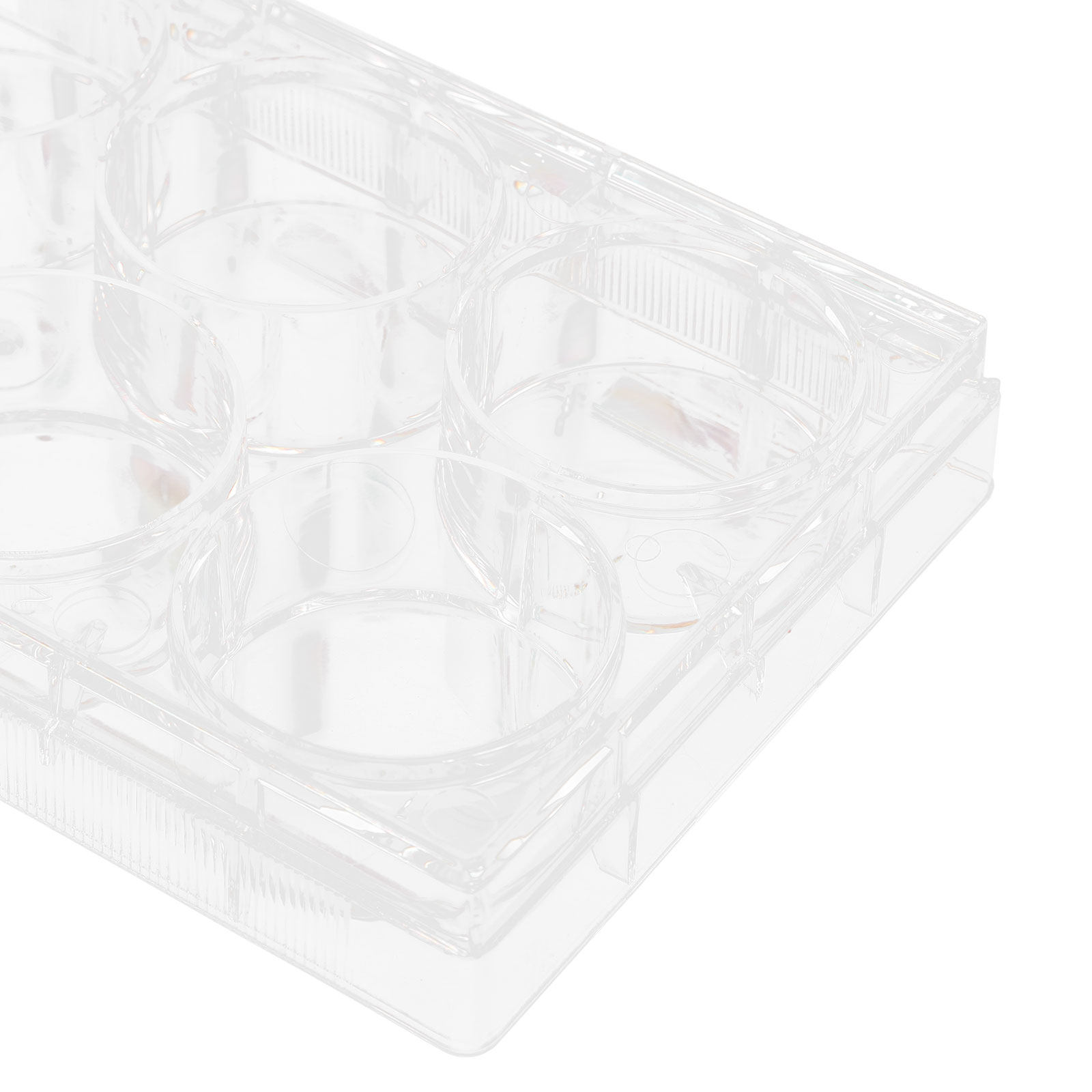 Tissue Culture Plate Lab Durab - Lab Equipment 评论和价格