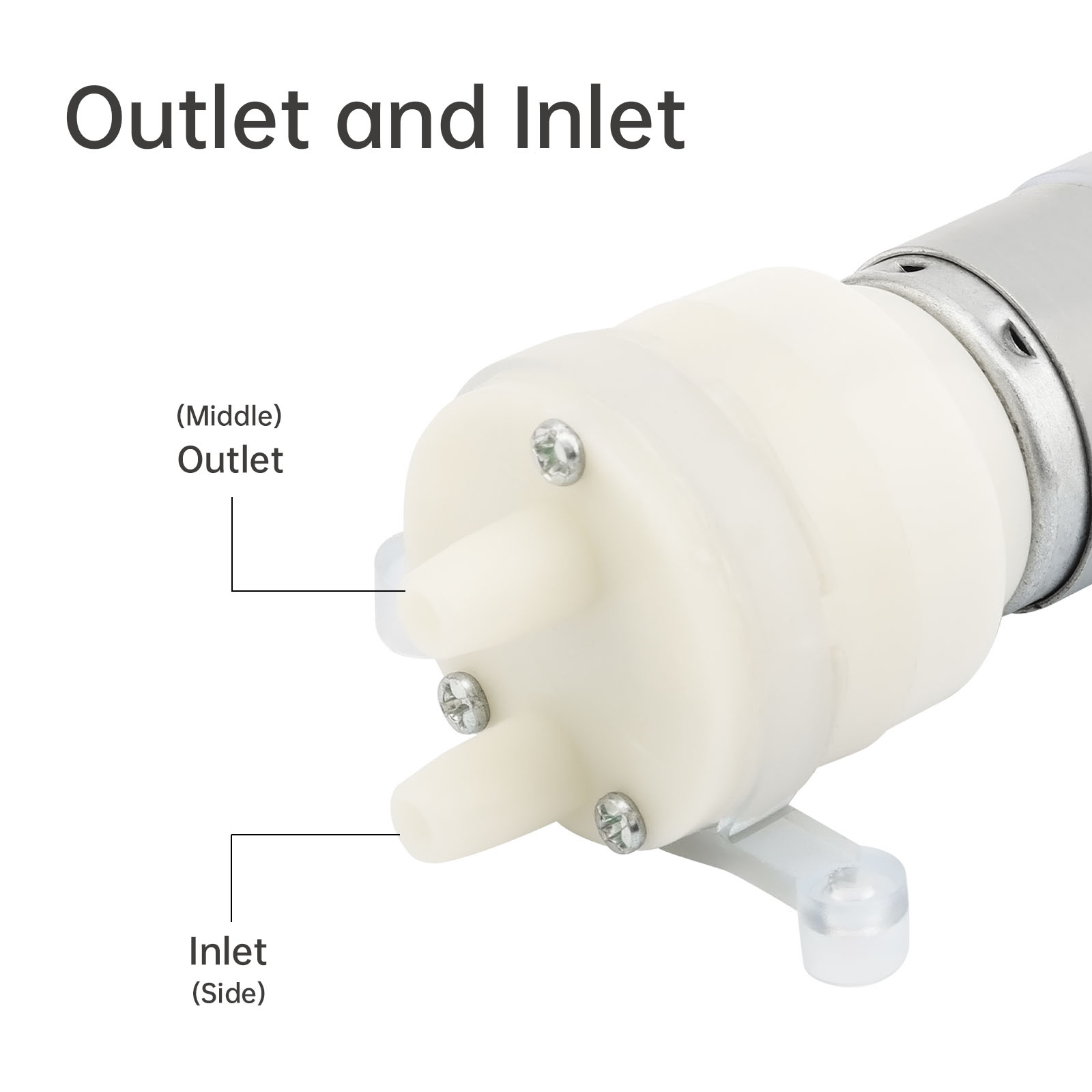 R365 Micro Water Pump Motor DC - Mini Peristaltic Pump 12V 评论和价格