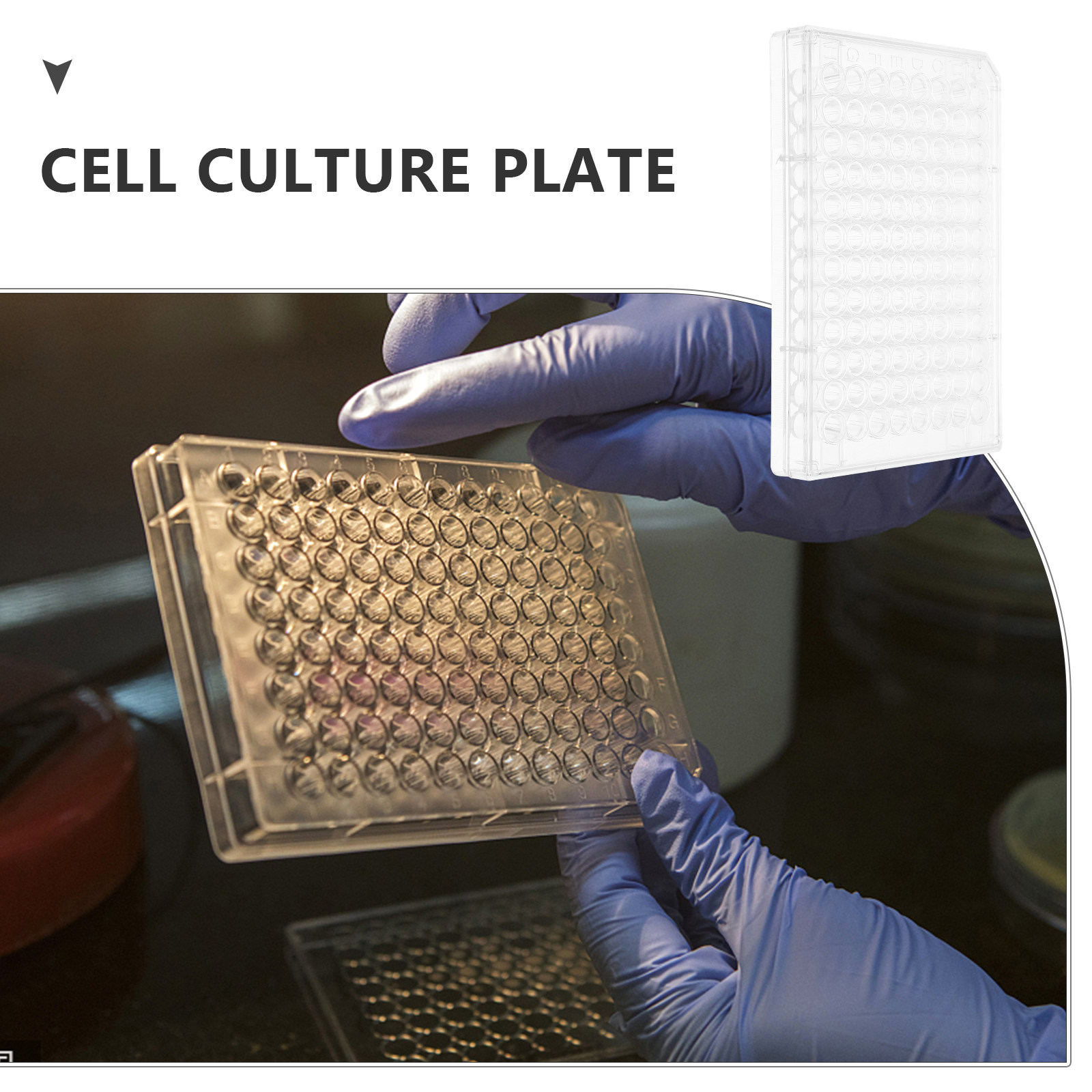 96 Wells Cell Culture Plate Tr - Lab Equipment 评论和价格